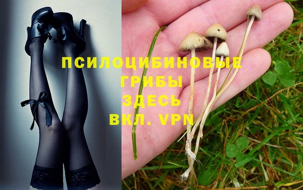 эйфоретик Волосово