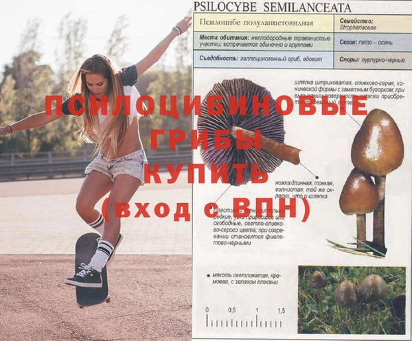эйфоретик Волосово