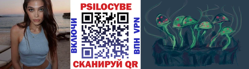 Галлюциногенные грибы Psilocybe  Кстово 
