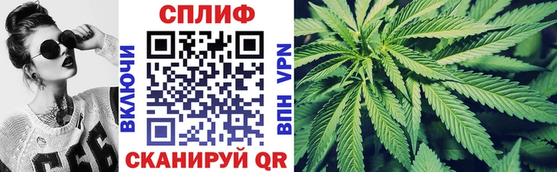 как найти наркотики  mega ссылки  Марихуана THC 21%  Кстово 